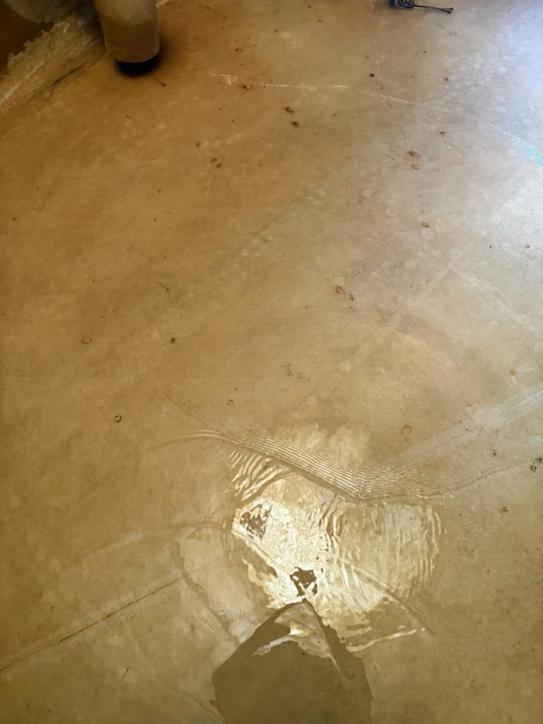 WhatsApp Image 2026 01 28 At 08.43.04 768x1024