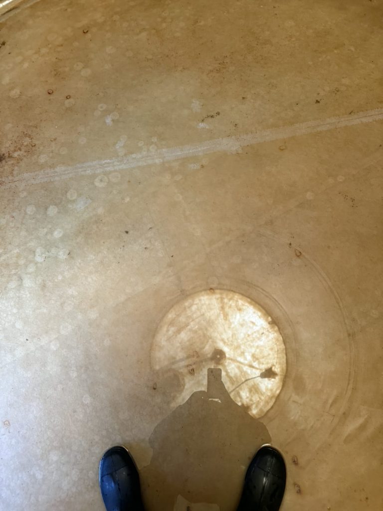 WhatsApp Image 2026 01 28 At 08.43.22 768x1024