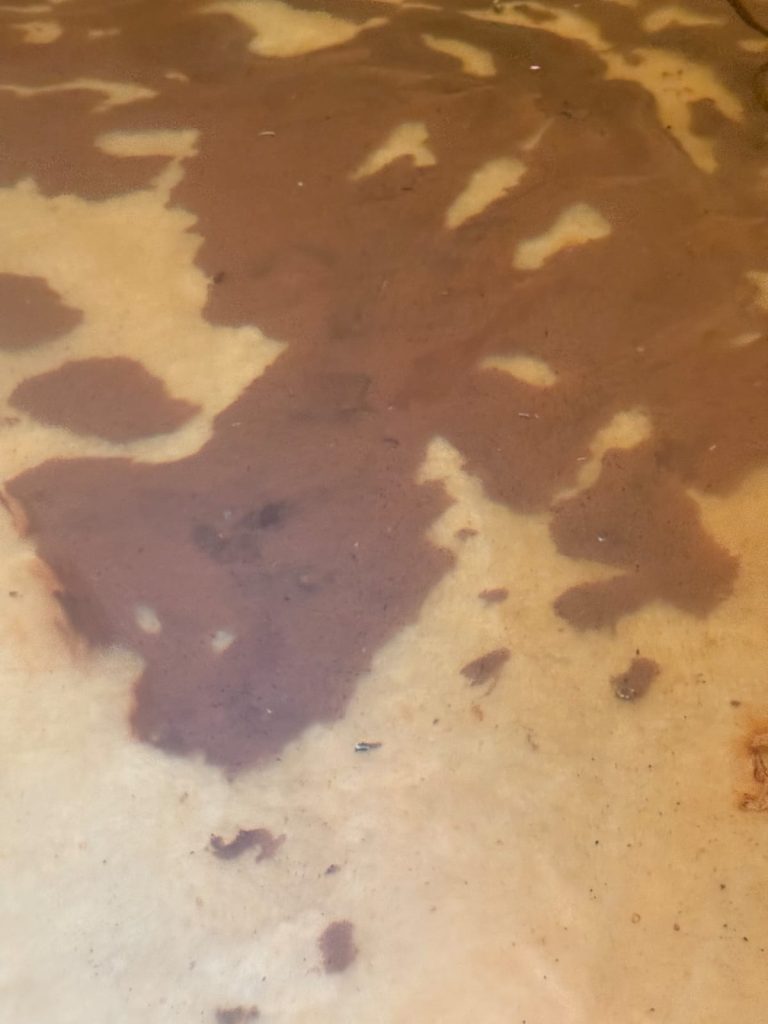 WhatsApp Image 2026 01 28 At 08.43.35 1 768x1024