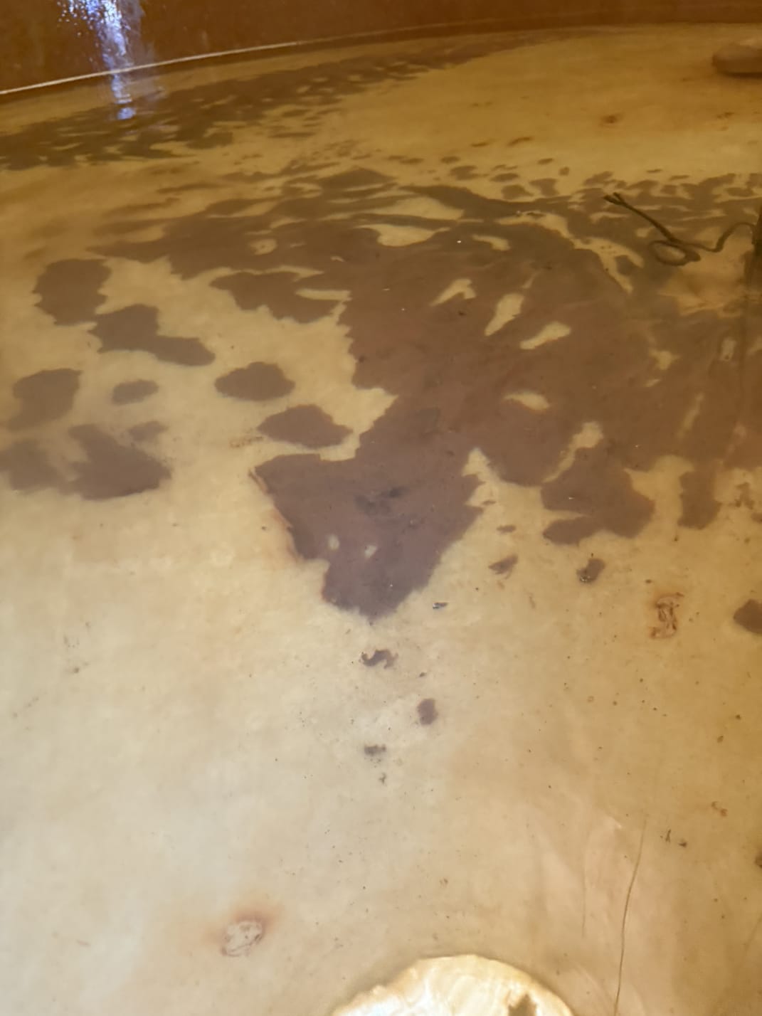 Services WhatsApp Image 2026 01 28 At 08.43.35 2