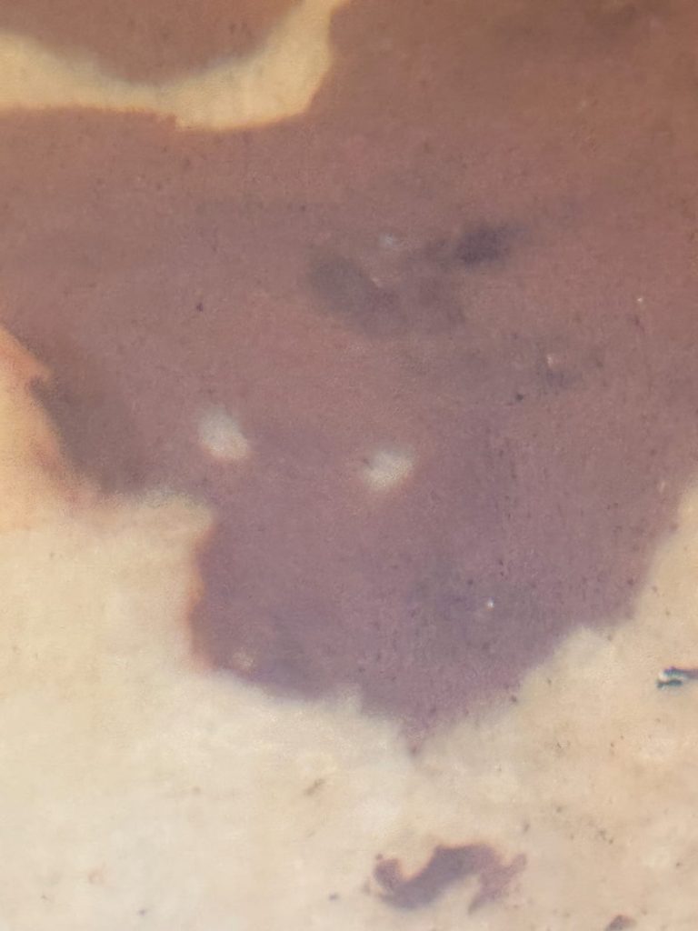 WhatsApp Image 2026 01 28 At 08.43.35 768x1024