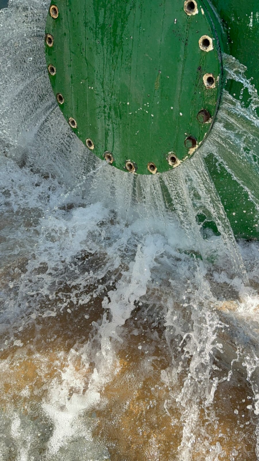 Services WhatsApp Image 2026 01 28 At 08.43.36 1