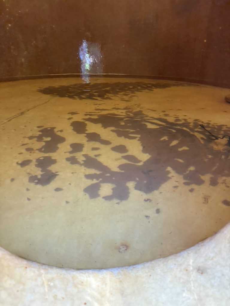 WhatsApp Image 2026 01 28 At 08.43.36 768x1024